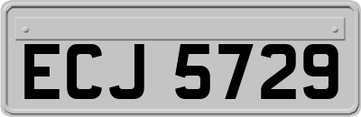 ECJ5729