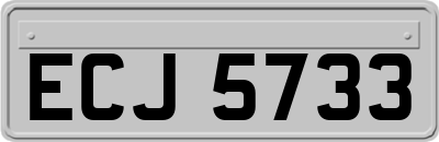 ECJ5733