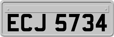 ECJ5734