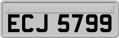 ECJ5799