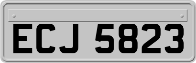 ECJ5823