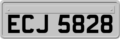 ECJ5828