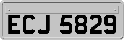 ECJ5829