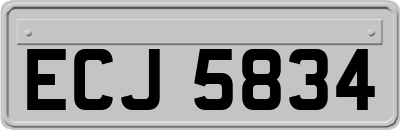 ECJ5834