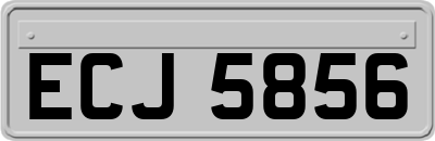 ECJ5856