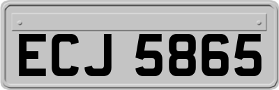 ECJ5865