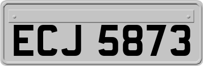 ECJ5873