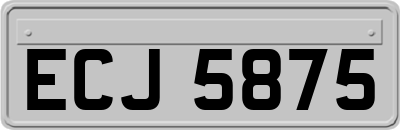 ECJ5875