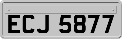 ECJ5877