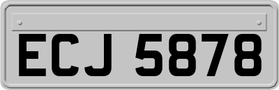 ECJ5878
