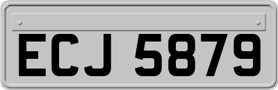 ECJ5879
