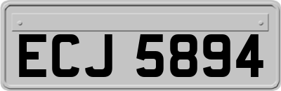ECJ5894