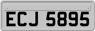 ECJ5895