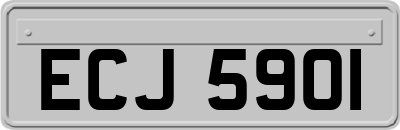 ECJ5901
