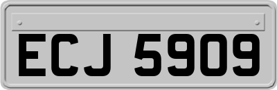 ECJ5909