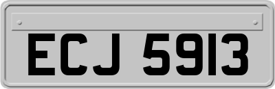 ECJ5913