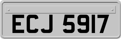 ECJ5917