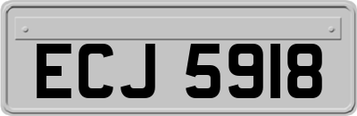 ECJ5918