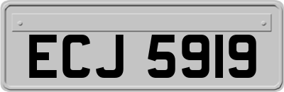 ECJ5919