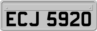 ECJ5920