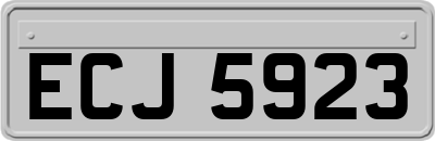 ECJ5923