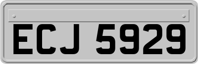 ECJ5929