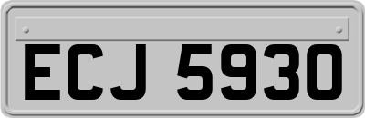 ECJ5930