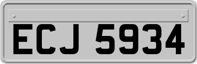 ECJ5934