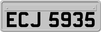 ECJ5935