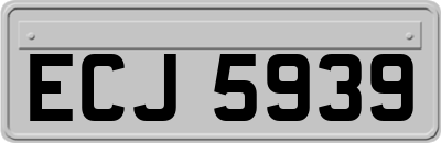 ECJ5939