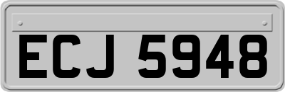 ECJ5948