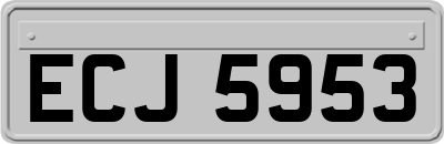 ECJ5953
