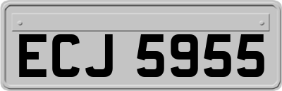 ECJ5955