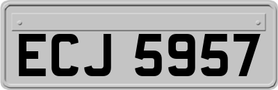 ECJ5957
