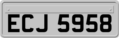 ECJ5958