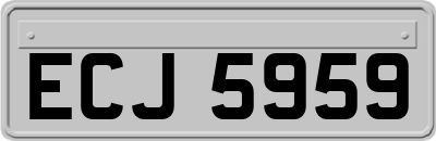 ECJ5959