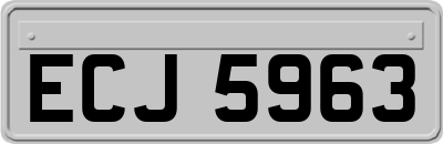 ECJ5963