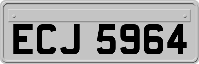 ECJ5964