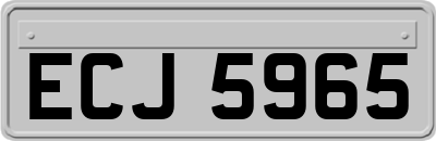 ECJ5965