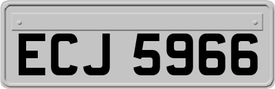 ECJ5966