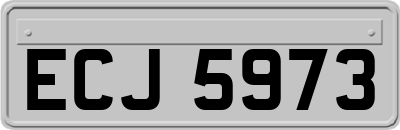 ECJ5973