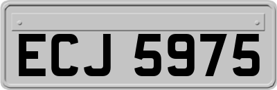 ECJ5975