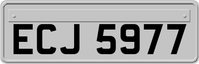 ECJ5977