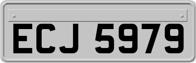 ECJ5979