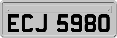 ECJ5980