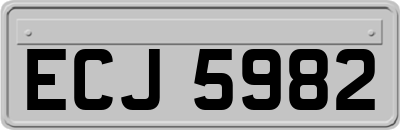 ECJ5982