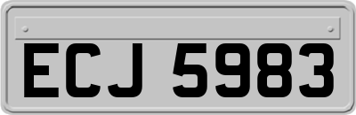 ECJ5983