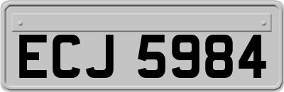 ECJ5984