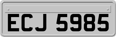 ECJ5985