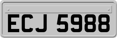 ECJ5988